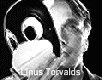 Torvaldsimages